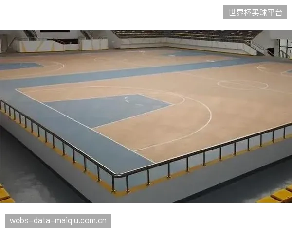 在符合DIN标准的篮球场地板总造价中，高性能弹性橡胶垫的成本已稳定占据8%的核心份额